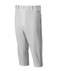 Top 10 ❤️ Mizuno Premier Short Piped Youth Baseball Pants 👍 -Source for Sports Sales 10125b340170ba8b09f679233f3afe2a