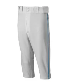Top 10 ❤️ Mizuno Premier Short Piped Youth Baseball Pants 👍 -Source for Sports Sales 430aa56ad76a0aa642ea16b1baaad022