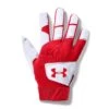 Cheap 🔥 Under Armour Clean Up Baseball Men's Batting Gloves 🌟