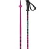 Budget 🔥 Salomon Kaloo Junior Ski Poles - Pink 🤩