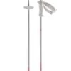 Deals ⭐ Salomon Angel S3 XL Women's Ski Poles - Rainy Day 🤩