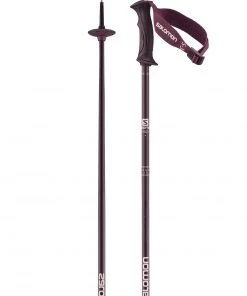 Deals 😍 Salomon Angel S3 Women's Ski Poles - Fig ❤️